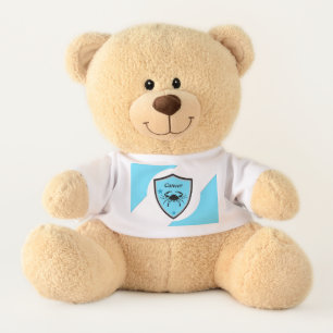 Cancer symbol teddy bear