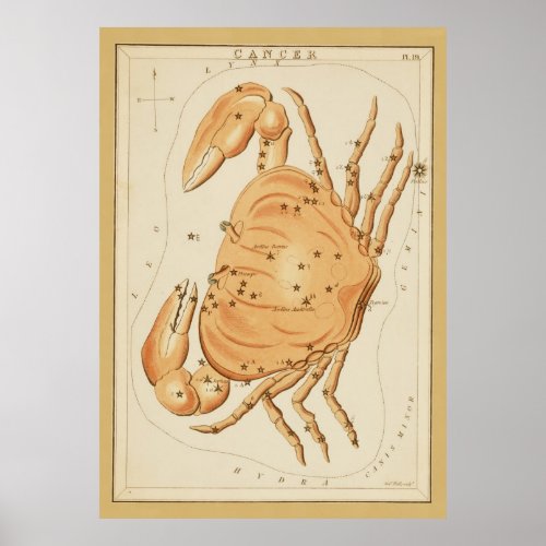 Cancer the Crab _ Vintage Sign of the Zodiac Image