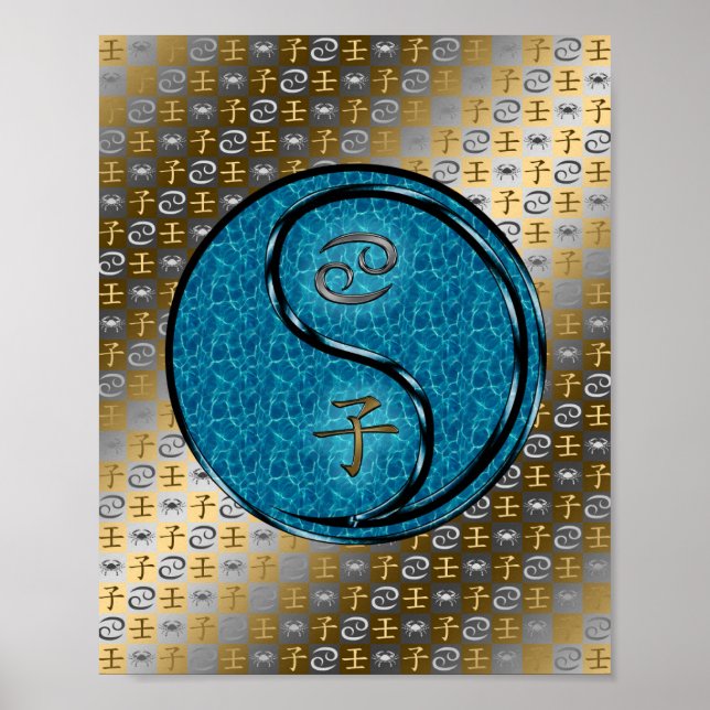 Cancer & Water Rat Poster (Front)