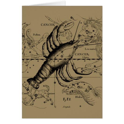 Cancer Zodiac Constellation by Hevelius 1690 (Front)