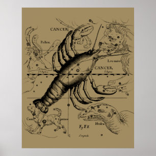 Cancer Zodiac Constellation by Hevelius 1690 Poster