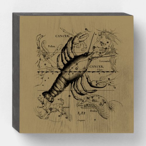 Cancer Zodiac Constellation by Hevelius 1690 Wooden Box Sign