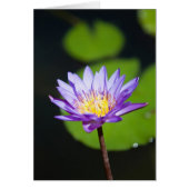 Cancun, Mexico (Front)