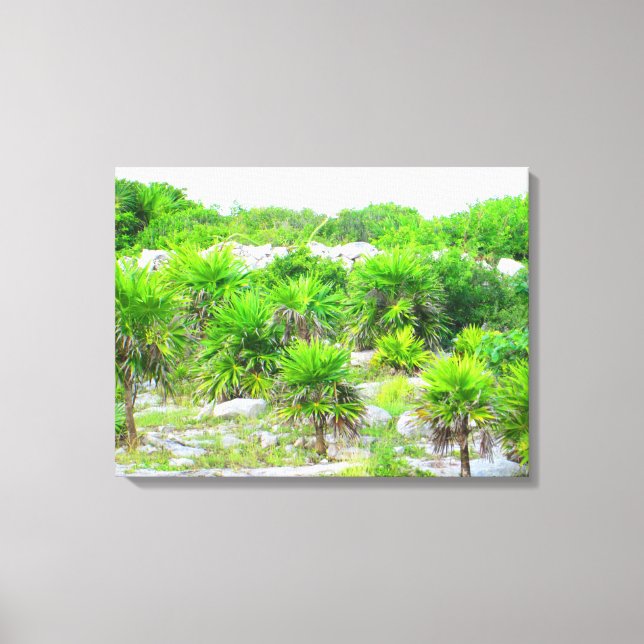 CANCUN, MEXICO #14 CANVAS PRINT (Front)