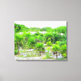 CANCUN, MEXICO #14 CANVAS PRINT