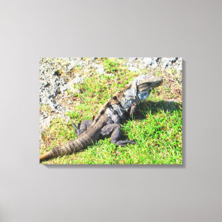 CANCUN, MEXICO #16 CANVAS PRINT