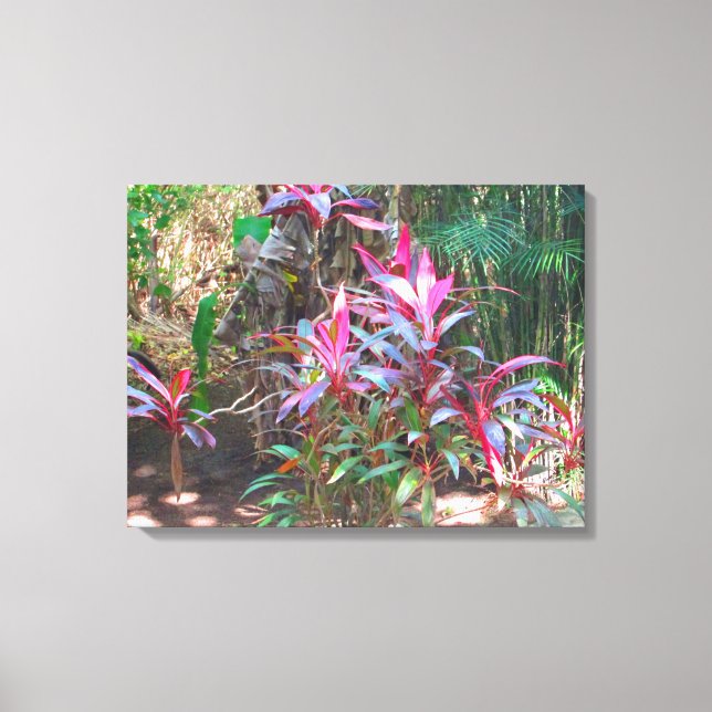 CANCUN, MEXICO #18 CANVAS PRINT (Front)