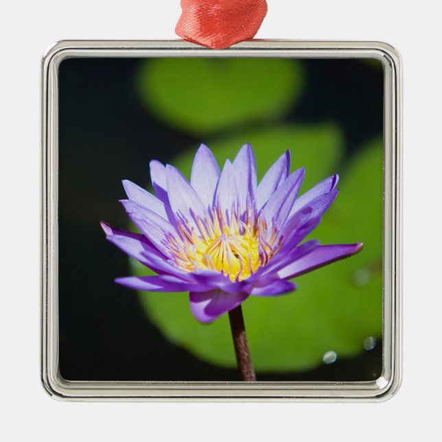 Cancun, Mexico Metal Ornament (Front)