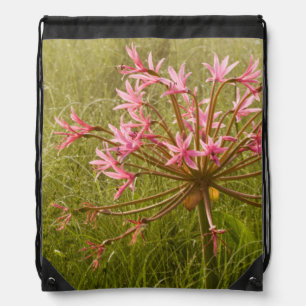 Candelabra Flower (Brunsvigia Radulosa) Drawstring Bag