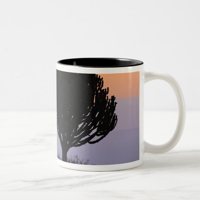 Candelabra Tree silhouetted at sunrise, Coffee Mug