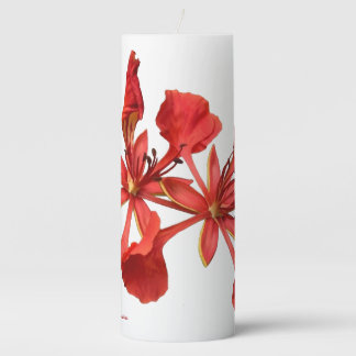 Candle Royal Poinciana Flower