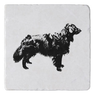 Candlewick Companion Trivet