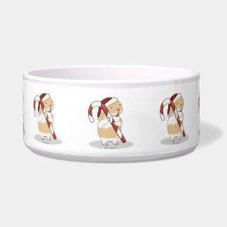 Candy cane and guinea pig bowl