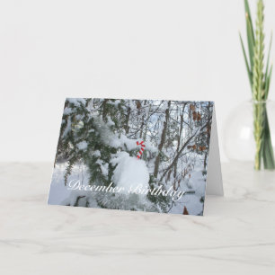 Candy Cane Decoration-December Birthday Card