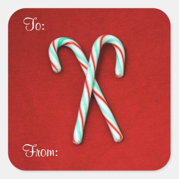 Candy Cane Gift Tag Sticker by lynnsphotos at Zazzle