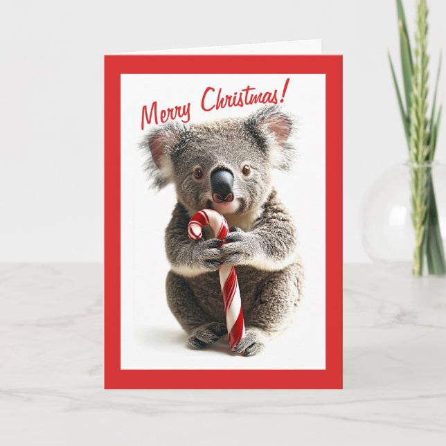 Candy Cane Koala Christmas Card (Front)
