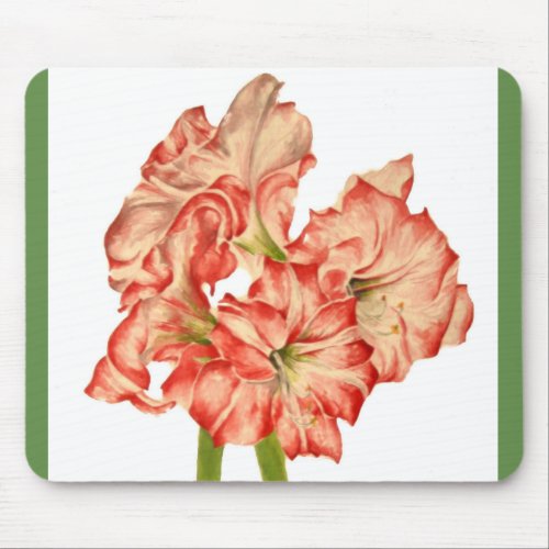 Candy Cane Lilies on a Mouse Pad