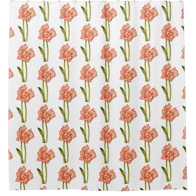 Candy Cane Lilies on a Shower Curtain (Front)