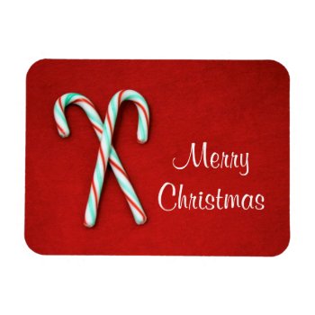 Candy Cane Premium Magnet by lynnsphotos at Zazzle