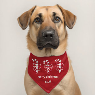 Candy Cane Silhouette Red Christmas Custom Name Pet Bandana Collar
