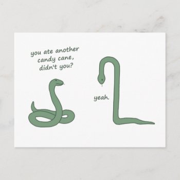 Candy Cane Snake Postcard by The_Shirt_Yurt at Zazzle
