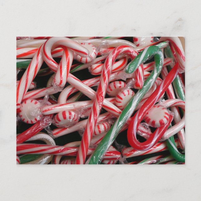 Candy Canes and Peppermints Christmas Holiday (Front)