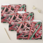 Candy Canes and Peppermints Christmas Holiday File Folder