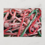 Candy Canes and Peppermints Christmas Holiday Postcard
