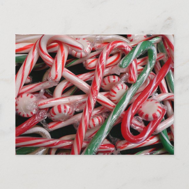 Candy Canes and Peppermints Christmas Holiday Postcard (Front)