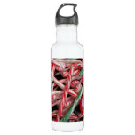Candy Canes and Peppermints Christmas Holiday Water Bottle