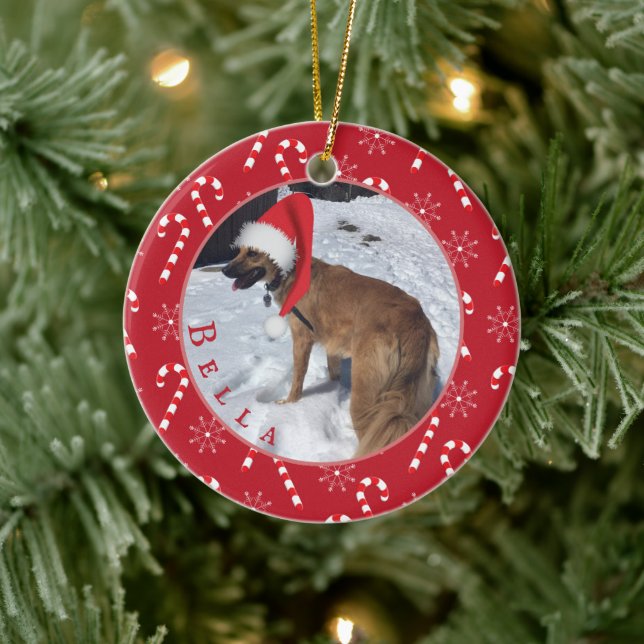 Candy Canes and Snowflakes Dog Photo Ornament (Tree)