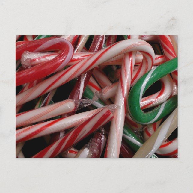 Candy Canes Christmas Holiday White Green and Red (Front)