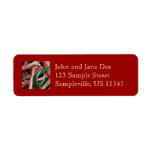 Candy Canes Christmas Holiday White Green and Red Label