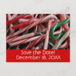 Candy Canes Holiday Save the Date Announcement Postcard