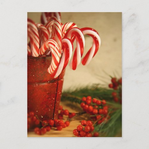 Candy canes in red tin can with berries postcard