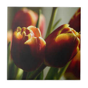 Candy Corn Tulips Ceramic Tile