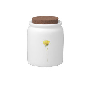 CANDY JAR ART AND DESIGN