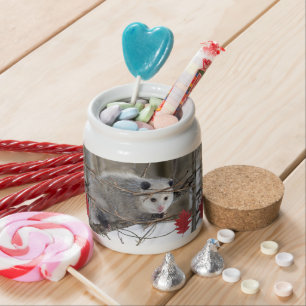 Candy Jar Opossum Nature