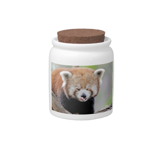 candy jar Photo red panda , animals 0164. (Front)