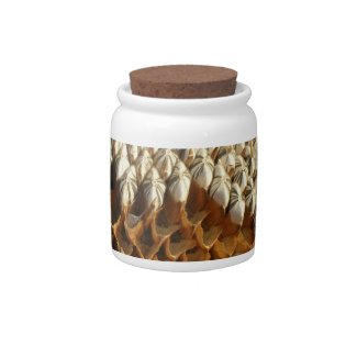 Candy Jar - Seeds/Snacks