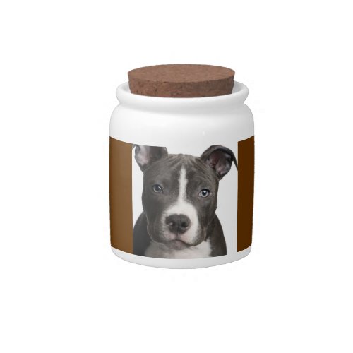 Candy jar with Pitbull picture