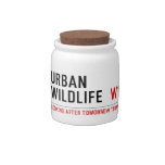URBAN WILDLIFE   Candy Jars