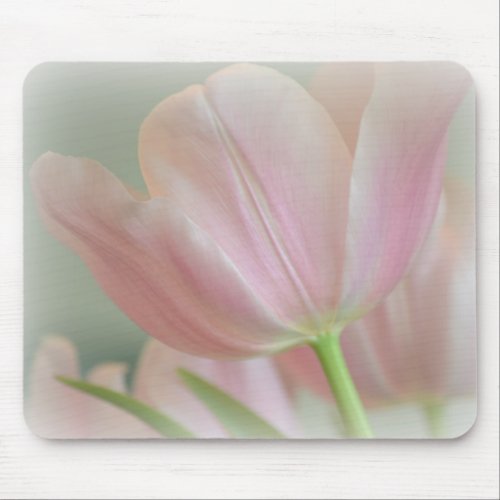 Candy Pink Tulip Mouse Pad