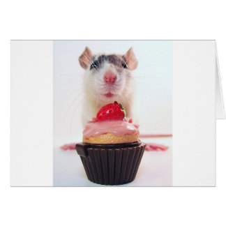Candy Rat Cards