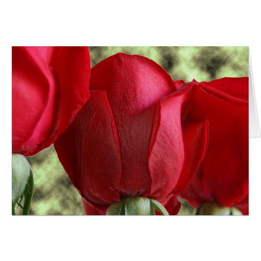 candy roses cards (Front Horizontal)