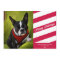 CANDY STRIPES | HOLIDAY PHOTO CARD