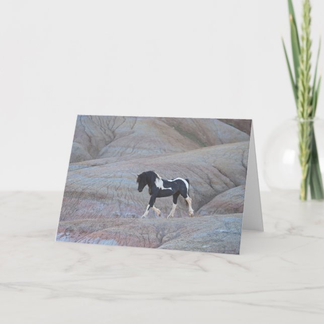 "Candyland" Note Card (Front)