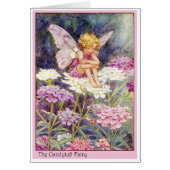 Candytuft Fairy (Front)