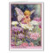 Candytuft Fairy