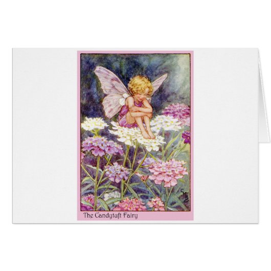 Candytuft Fairy Cards (Front Horizontal)